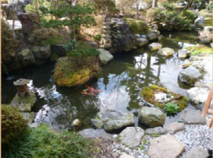 民宿 野田屋 ギャラリー