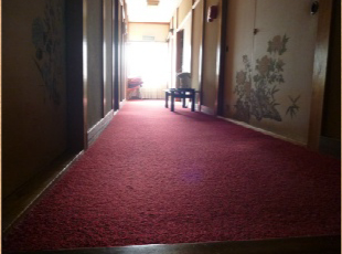 民宿 野田屋 ギャラリー